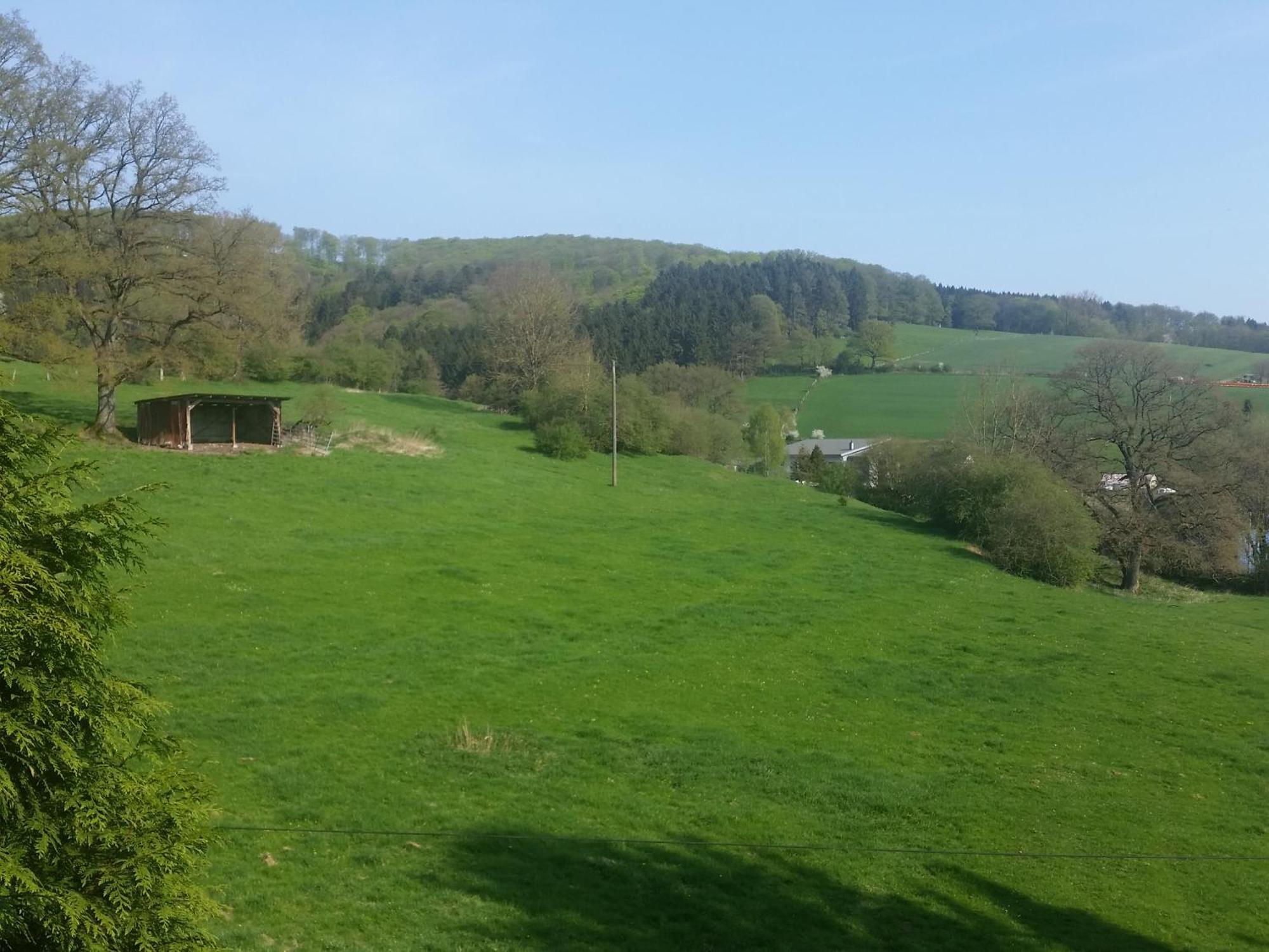 Fewo Am Wald Balve Room photo